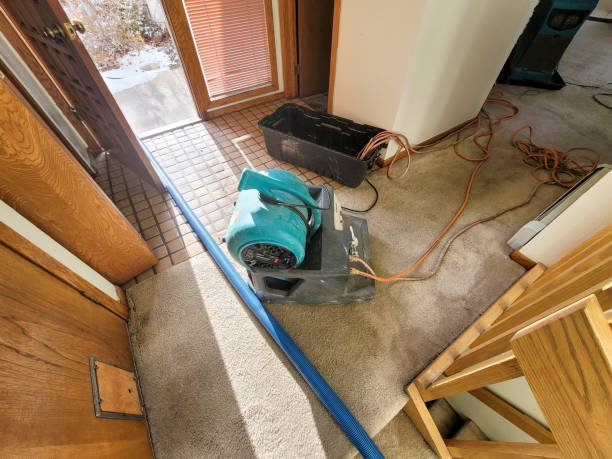 Best Ceiling water damage repair  in Laguna Beach, FL