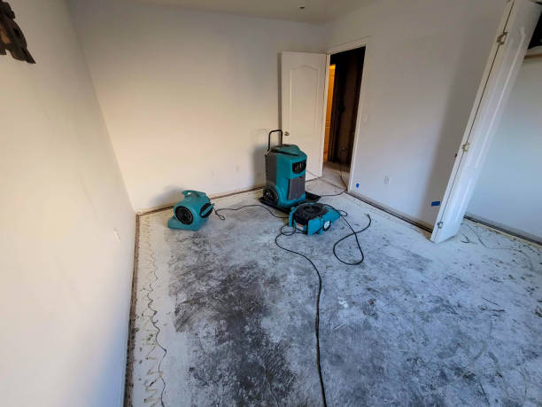 Best 24-hour water damage restoration  in Laguna Beach, FL