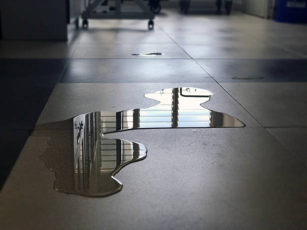 Best 24/7 water damage repair  in Laguna Beach, FL