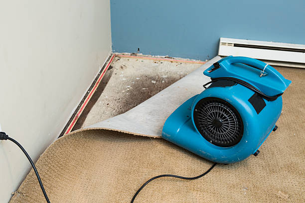 Trusted FL Water damage restoration Experts
